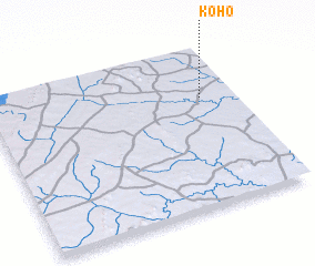 3d view of Koho