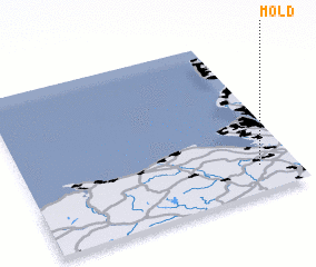 3d view of Mold