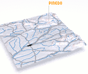 3d view of Pinedo