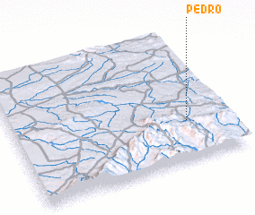 3d view of Pedro