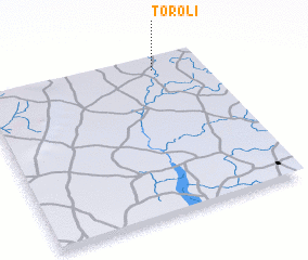 3d view of Toroli