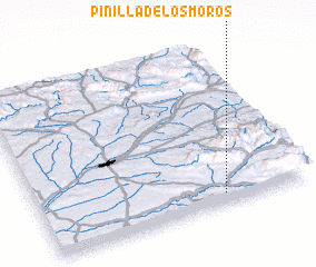 3d view of Pinilla de los Moros