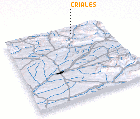 3d view of Criales