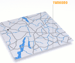 3d view of Yankoro