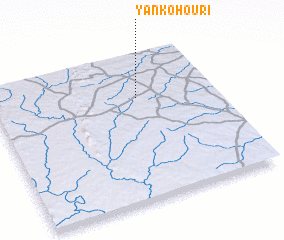 3d view of Yankohouri