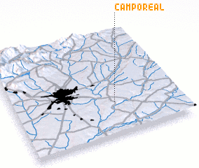 3d view of Campo Real