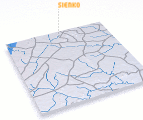 3d view of Sienko