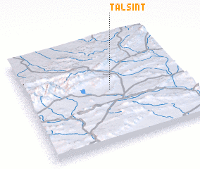 3d view of Talsint