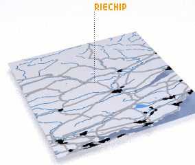 3d view of Riechip