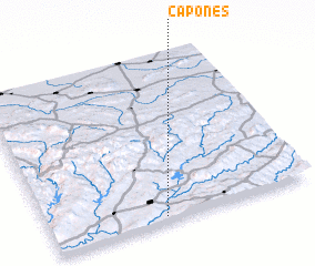 3d view of Capones