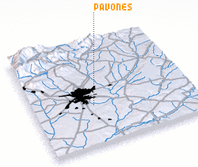 3d view of Pavones