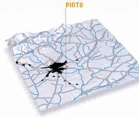 3d view of Pinto