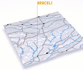 3d view of Araceli