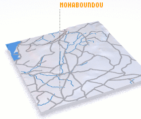 3d view of Mohaboundou