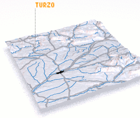 3d view of Turzo