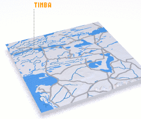 3d view of Timba
