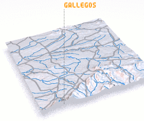 3d view of Gallegos