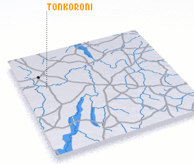 3d view of Tonkoroni