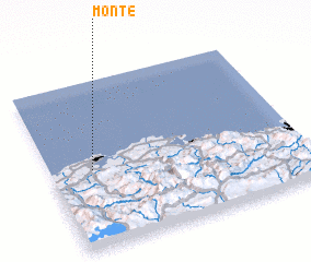 3d view of Monte