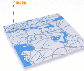 3d view of Dibara