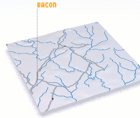 3d view of Bacon