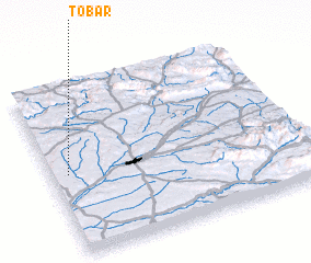 3d view of Tobar
