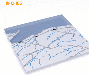 3d view of Backies