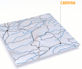 3d view of Carpina