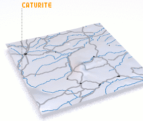 3d view of Caturité