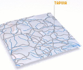 3d view of Tapuia