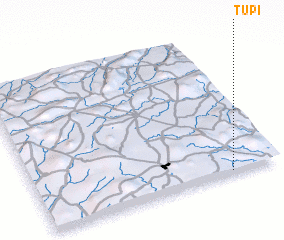 3d view of Tupi