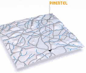 3d view of Pimentel