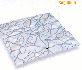 3d view of Saquinho