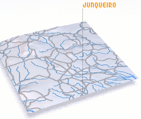 3d view of Junqueiro