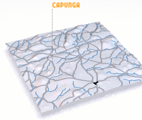 3d view of Capunga