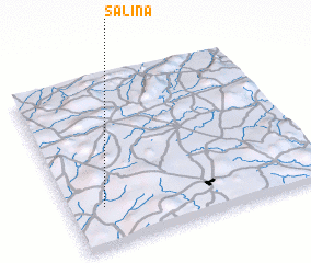 3d view of Salina