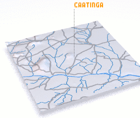 3d view of Caatinga