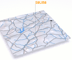 3d view of Salina