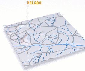 3d view of Pelado