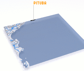 3d view of Pituba