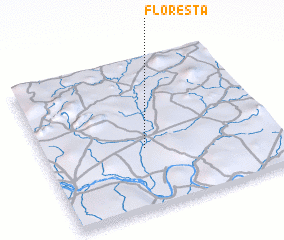 3d view of Floresta