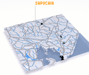 3d view of Sapucaia