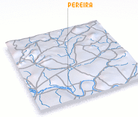 3d view of Pereira