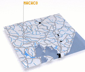 3d view of Macaco