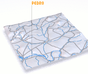 3d view of Pedro