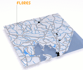 3d view of Flores