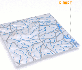 3d view of Pinaré