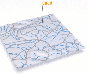 3d view of Caju