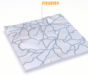 3d view of Pirabibu