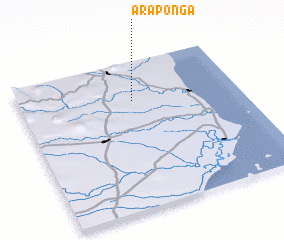 3d view of Araponga